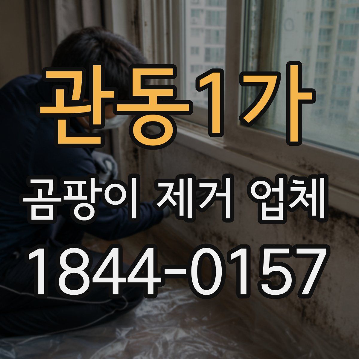 관동1가 곰팡이 제거 업체