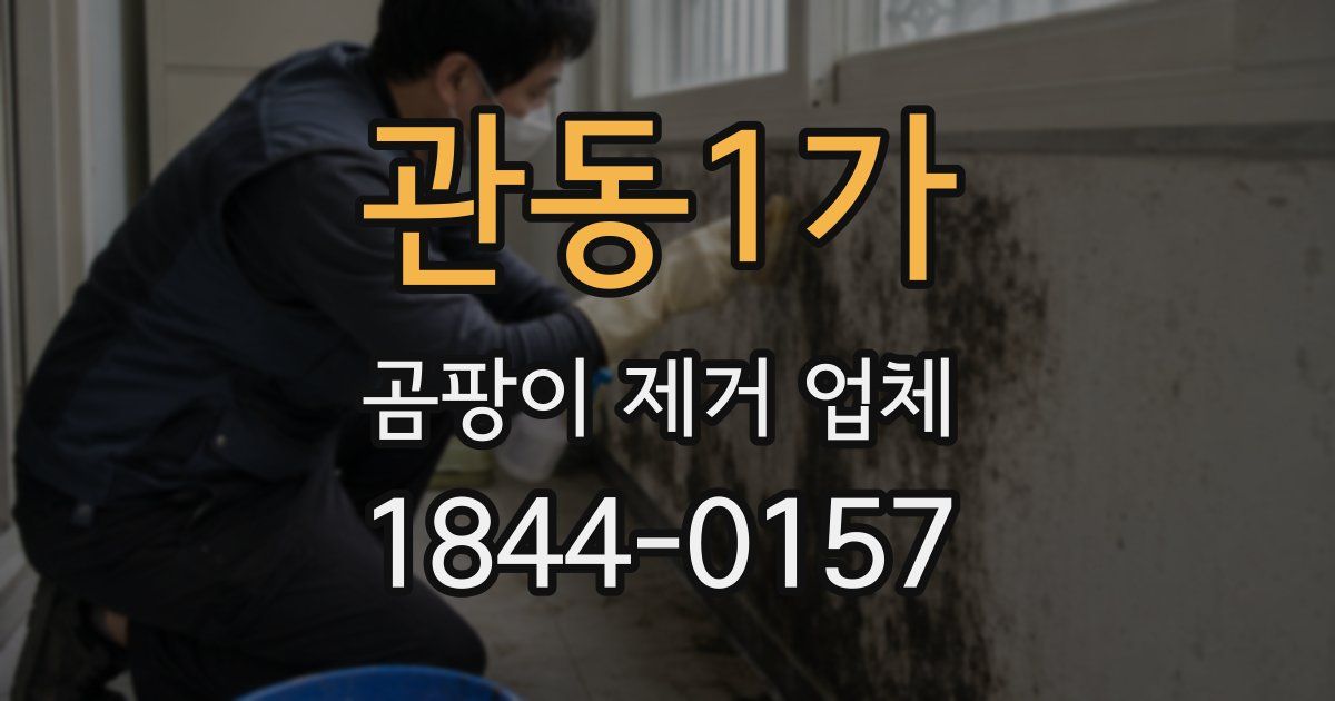 관동1가 곰팡이 제거 업체