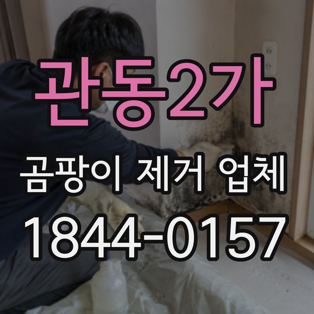 관동2가 곰팡이 제거 업체