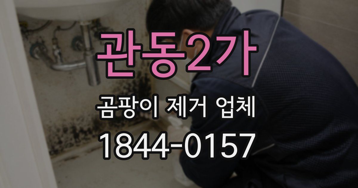 관동2가 곰팡이 제거 업체
