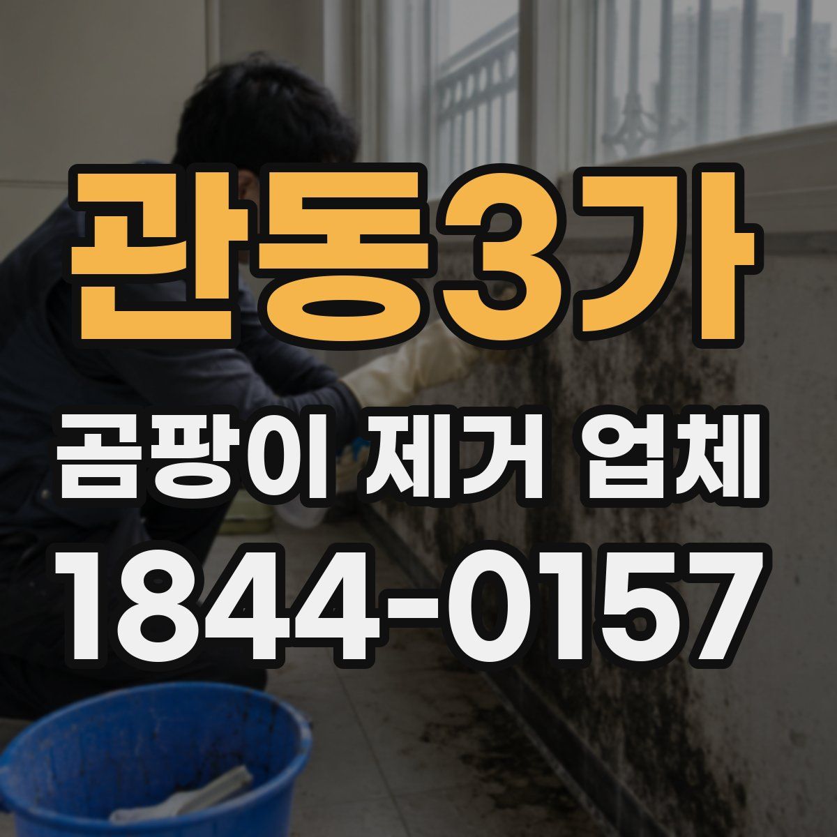 관동3가 곰팡이 제거 업체