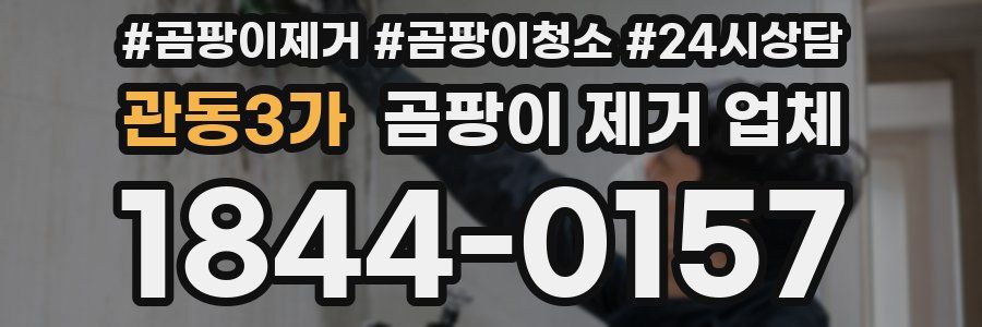 관동3가 곰팡이 제거 업체