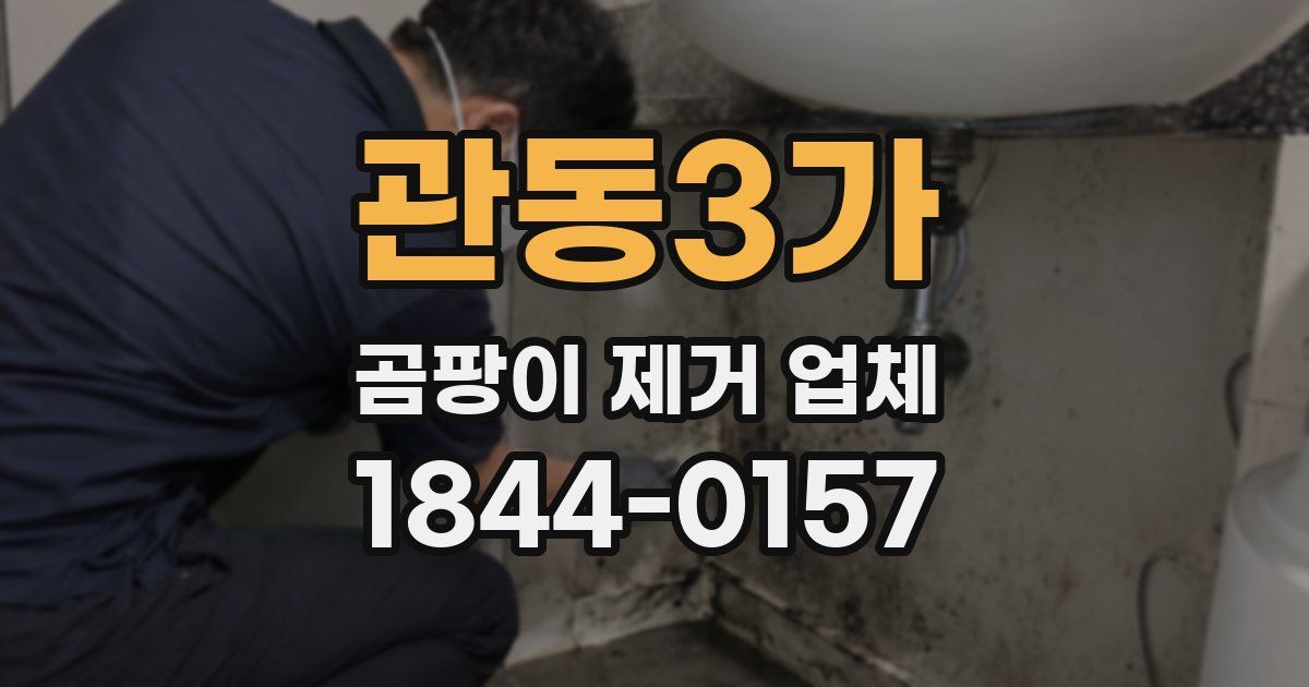관동3가 곰팡이 제거 업체