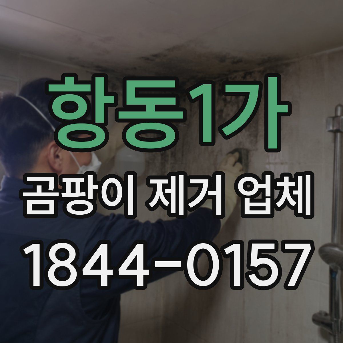 항동1가 곰팡이 제거 업체