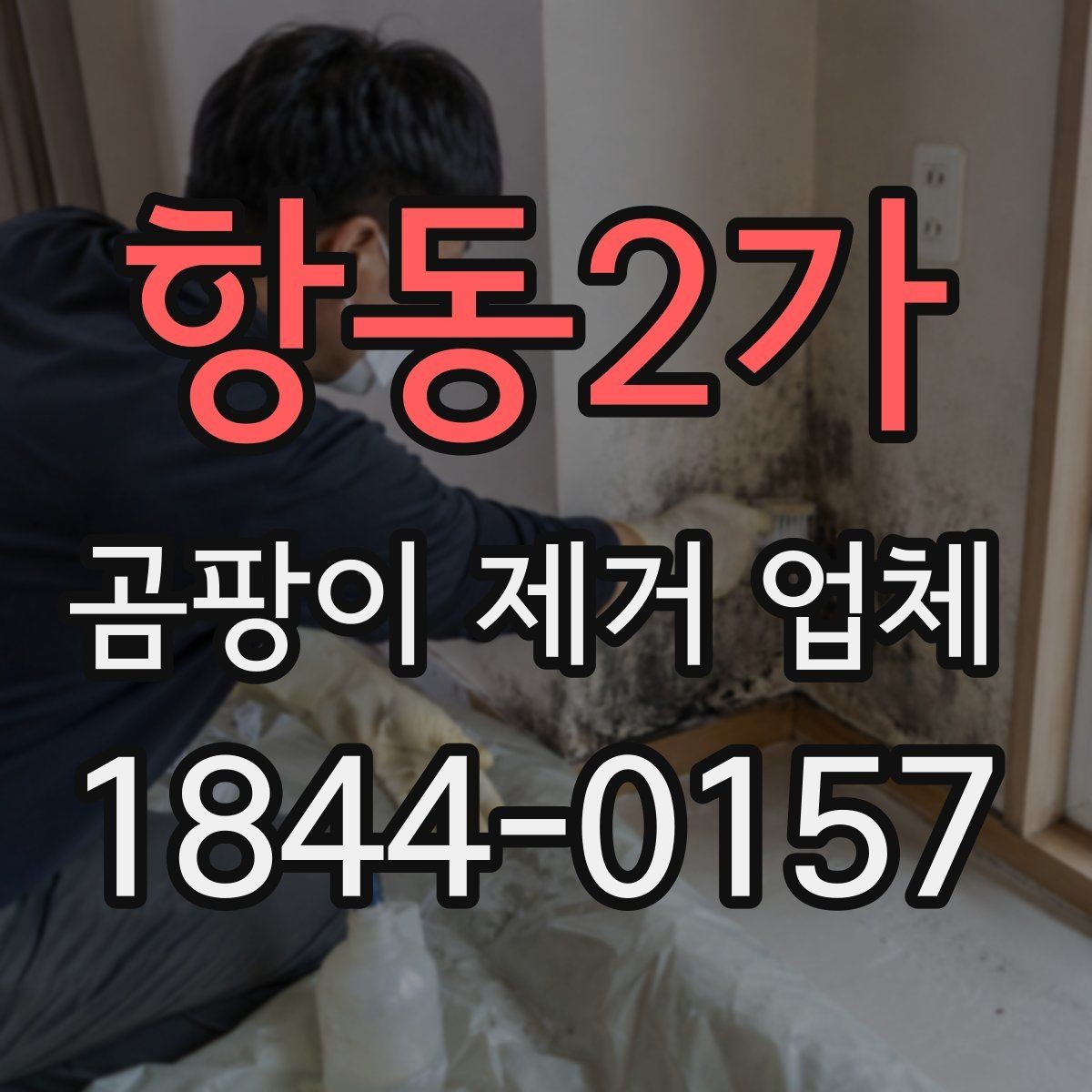 항동2가 곰팡이 제거 업체 벽지와 석고보드 상태로 판단하는 작업 범위