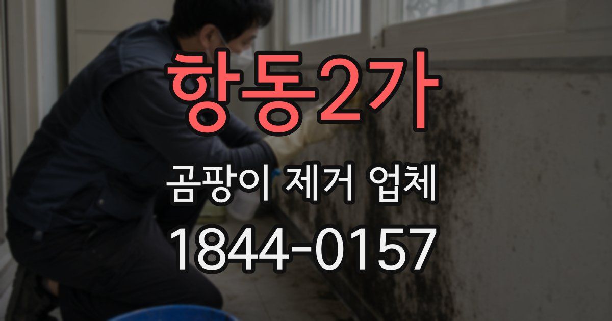 항동2가 곰팡이 제거 업체
