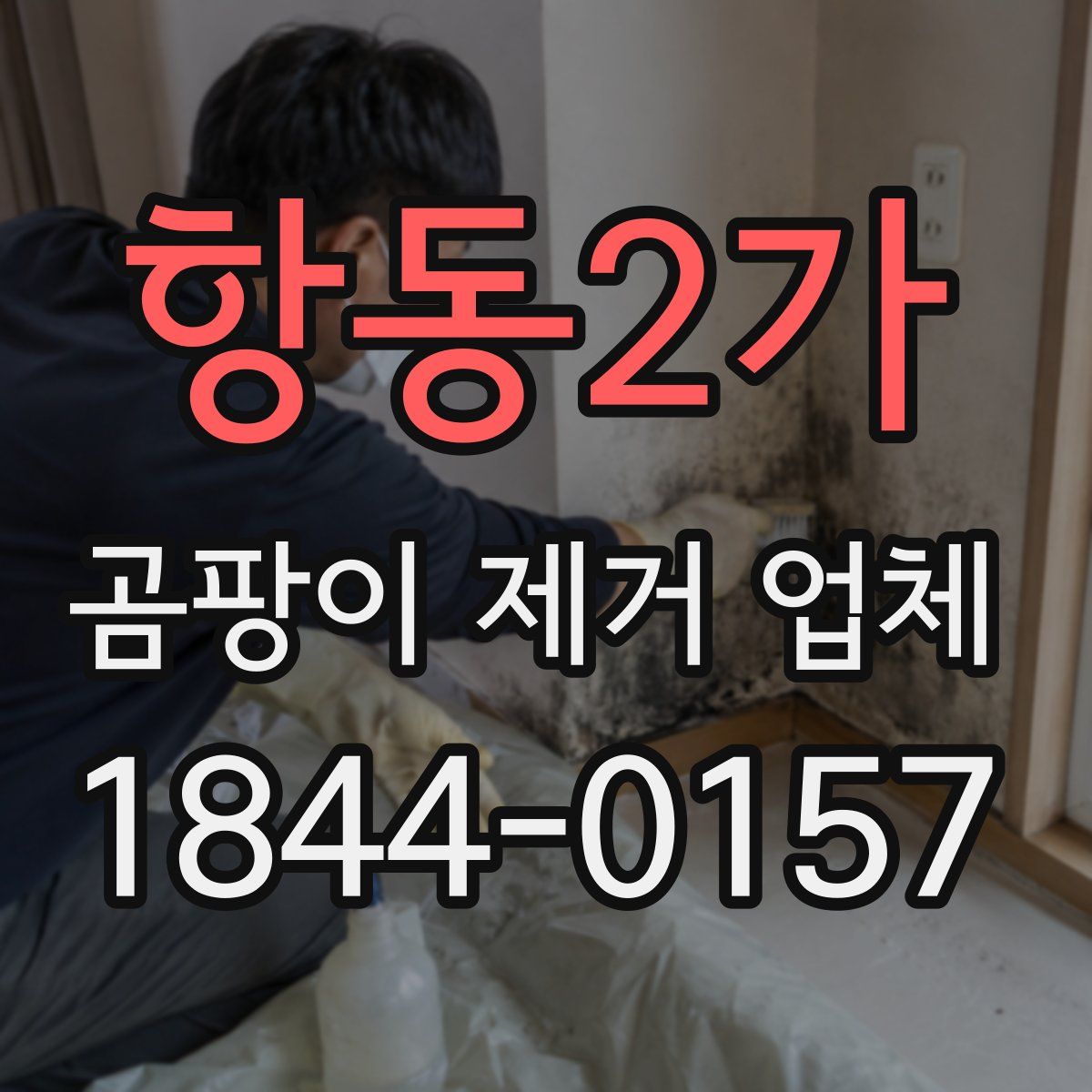 항동2가 곰팡이 제거 업체