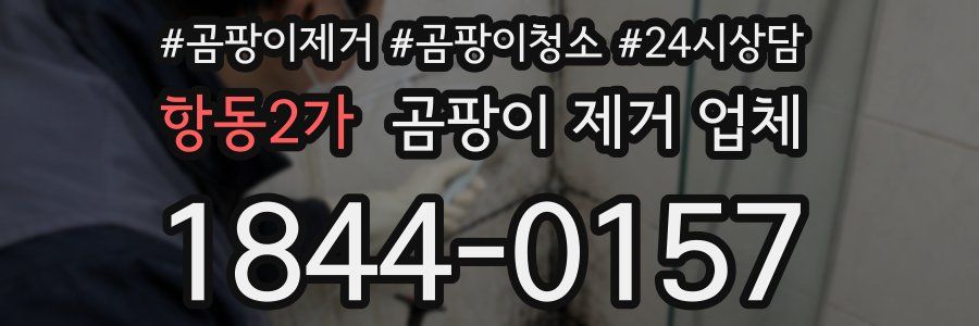 항동2가 곰팡이 제거 업체