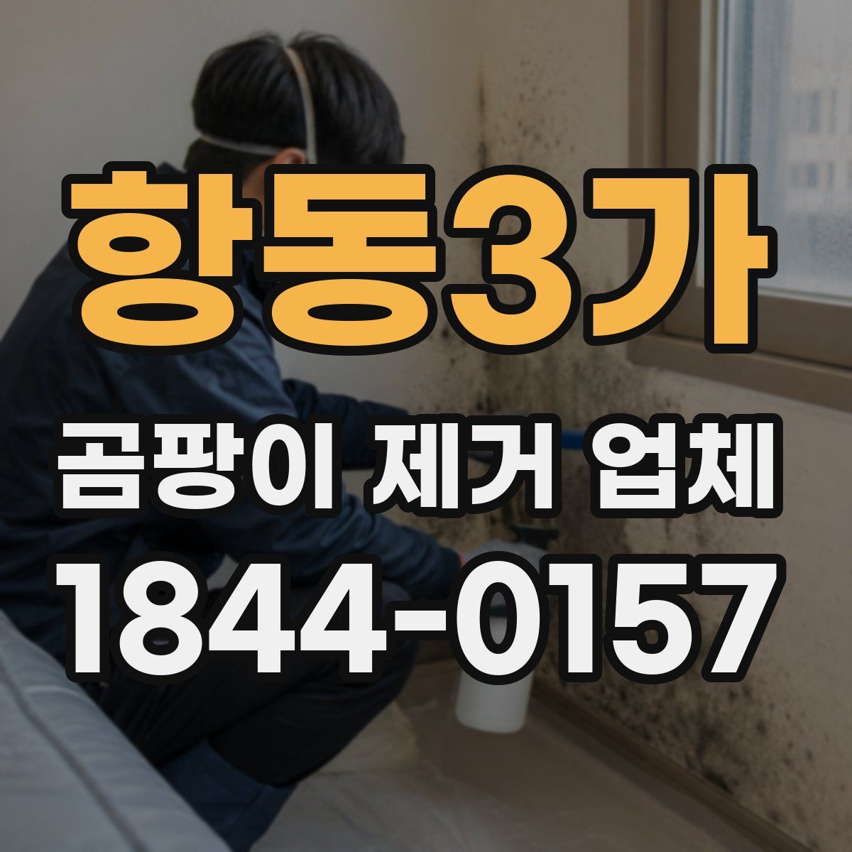 항동3가 곰팡이 제거 업체