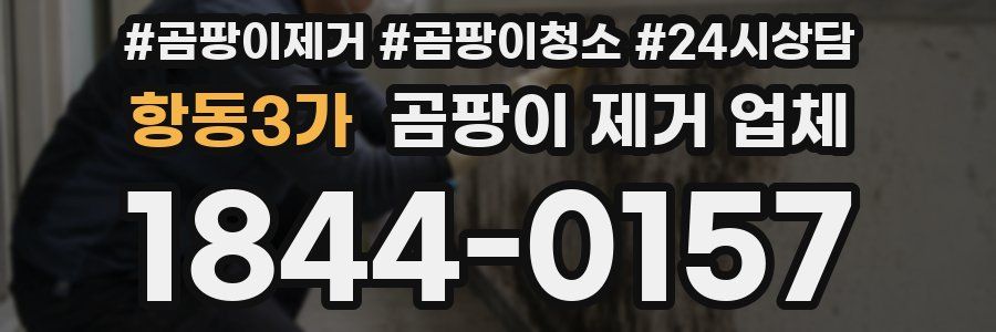 항동3가 곰팡이 제거 업체
