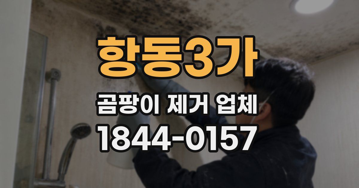 항동3가 곰팡이 제거 업체
