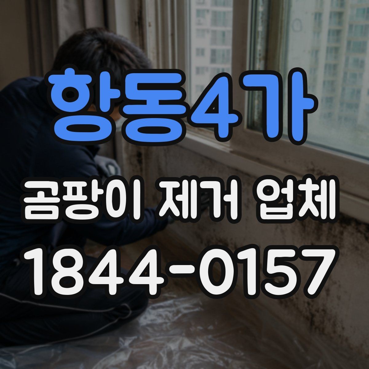 항동4가 곰팡이 제거 업체 오염 부위별 제거 계획 세우는 법
