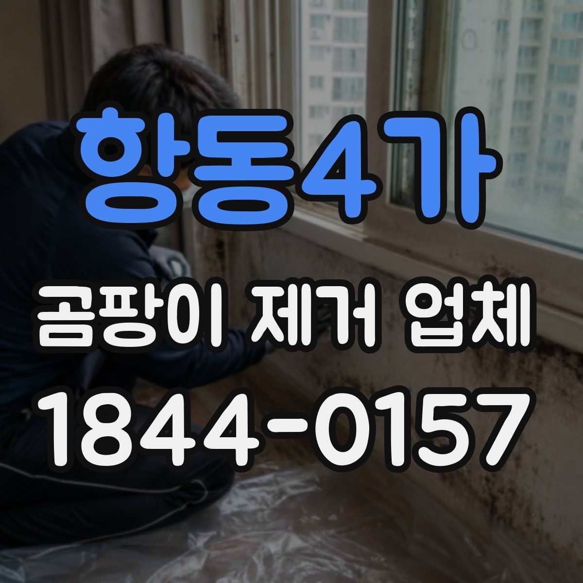항동4가 곰팡이 제거 업체