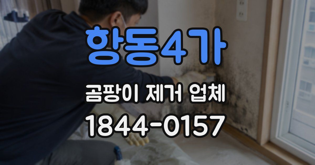 항동4가 곰팡이 제거 업체