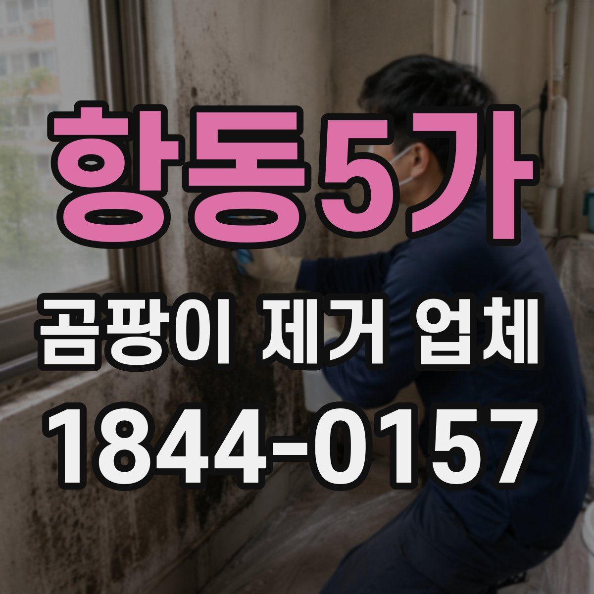 항동5가 곰팡이 제거 업체