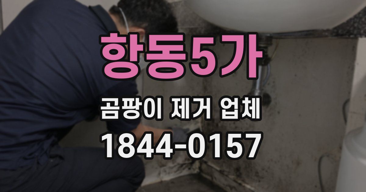 항동5가 곰팡이 제거 업체