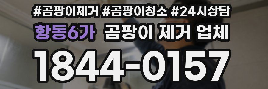 항동6가 곰팡이 제거 업체