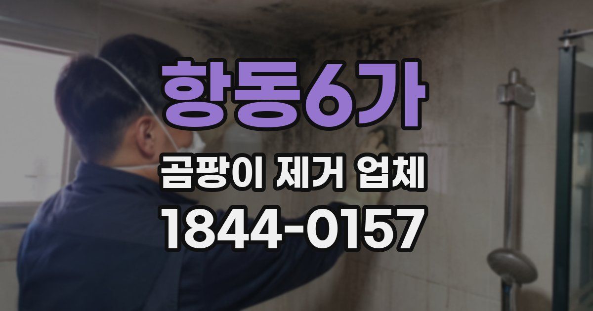 항동6가 곰팡이 제거 업체