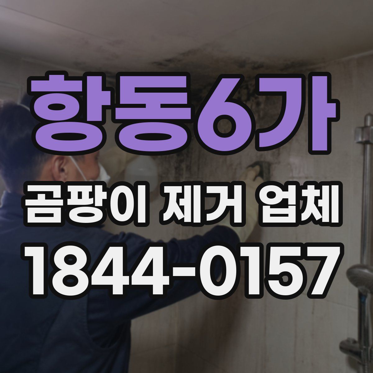 항동6가 곰팡이 제거 업체