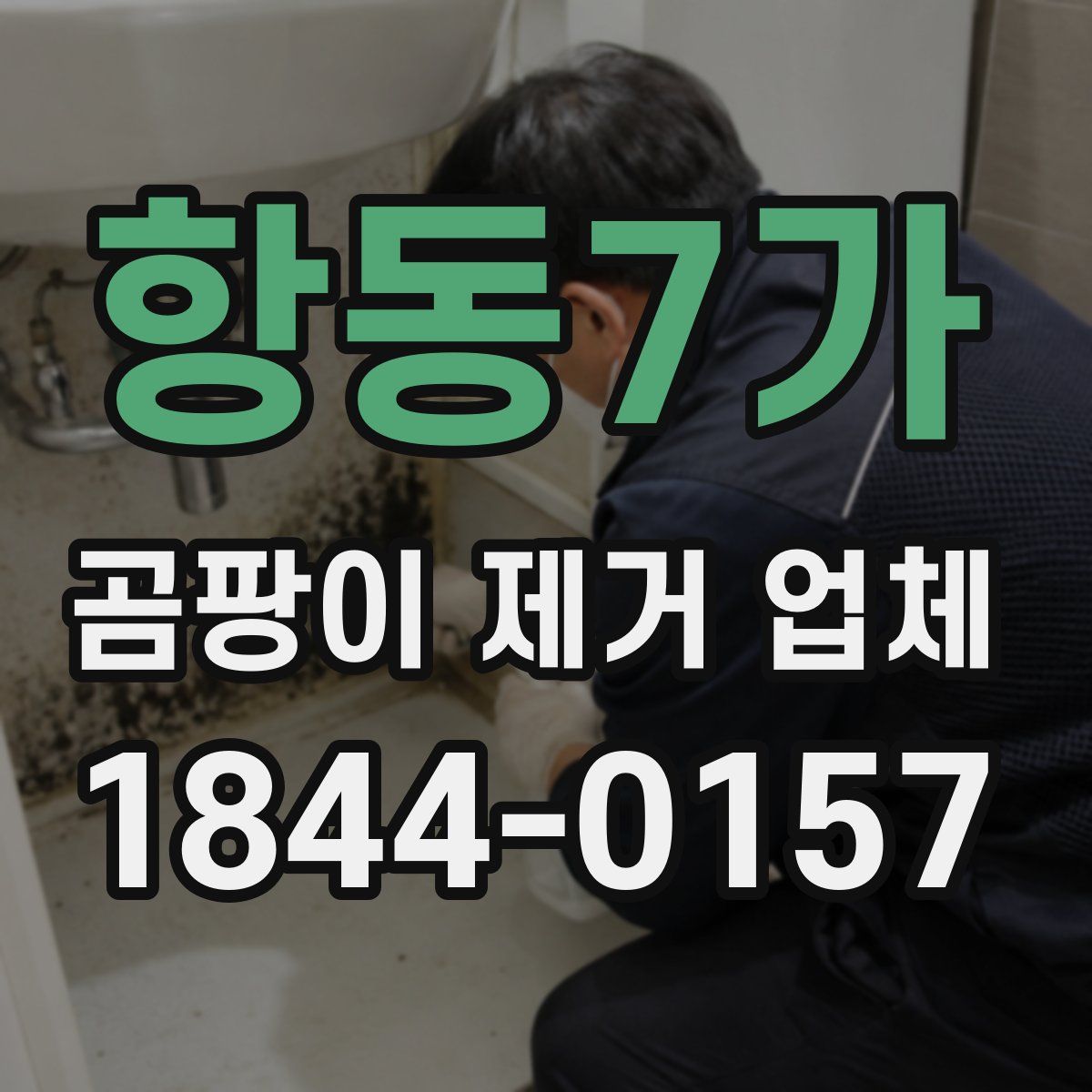 항동7가 곰팡이 제거 업체