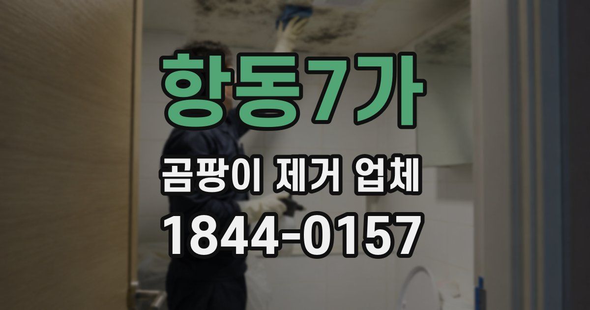 항동7가 곰팡이 제거 업체