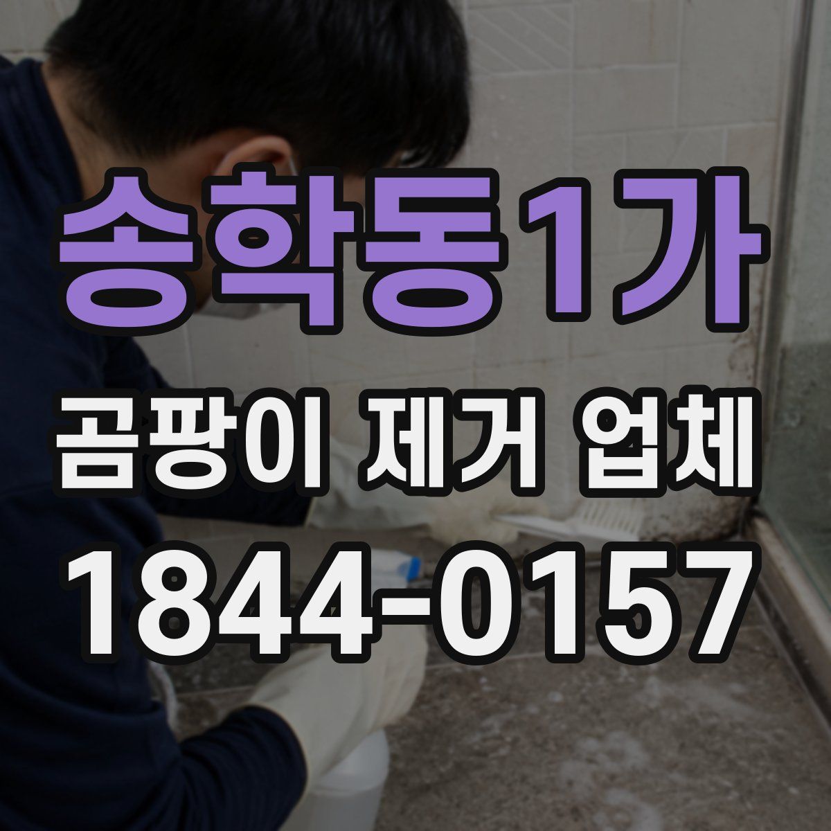 송학동1가 곰팡이 제거 업체