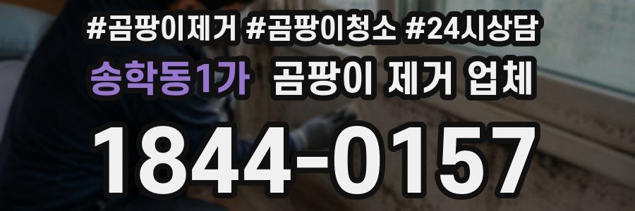 송학동1가 곰팡이 제거 업체