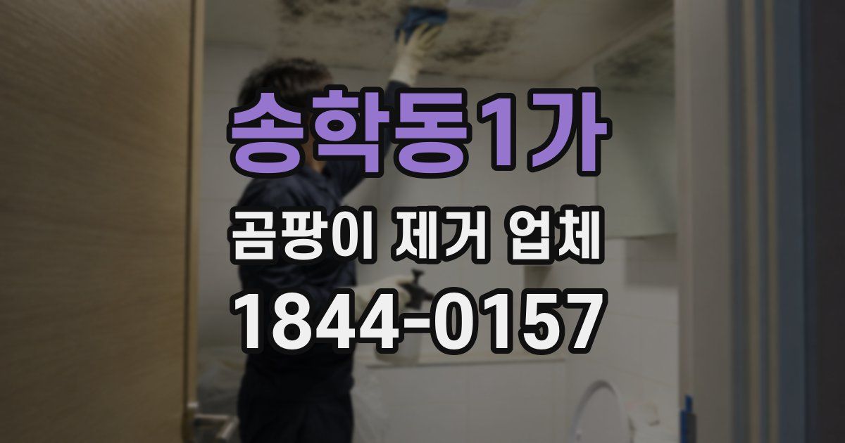 송학동1가 곰팡이 제거 업체