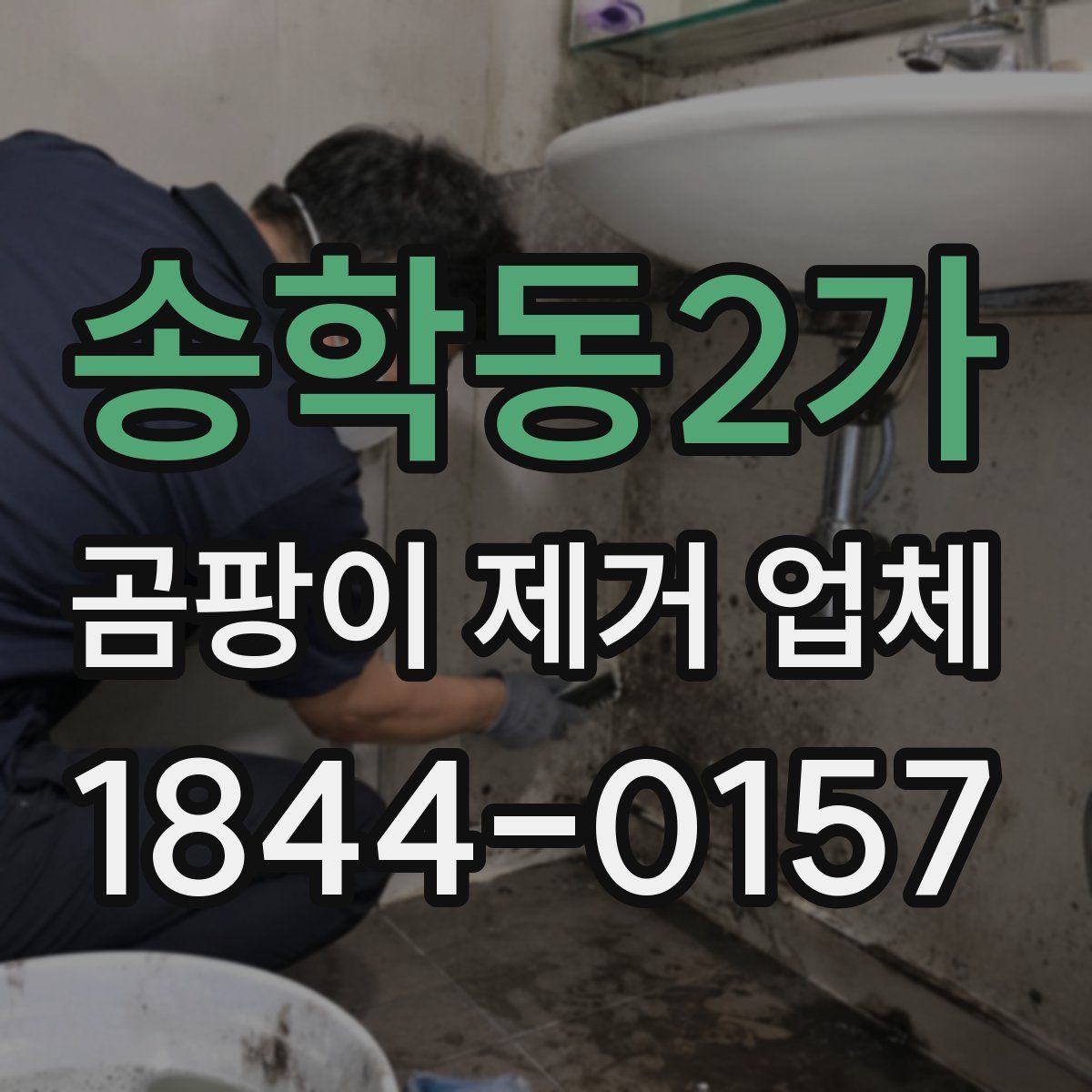 송학동2가 곰팡이 제거 업체