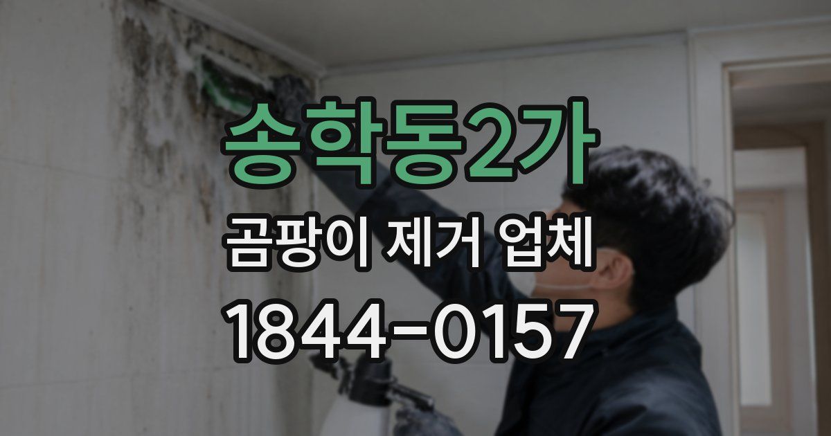 송학동2가 곰팡이 제거 업체