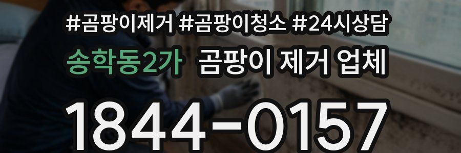송학동2가 곰팡이 제거 업체