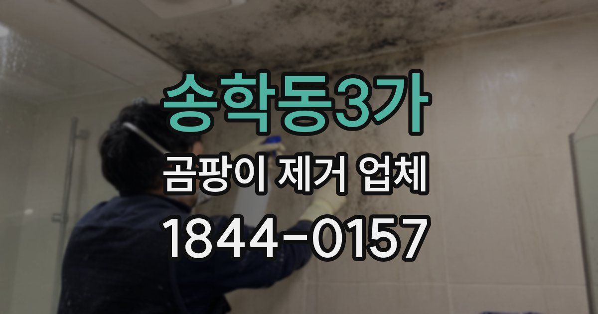 송학동3가 곰팡이 제거 업체
