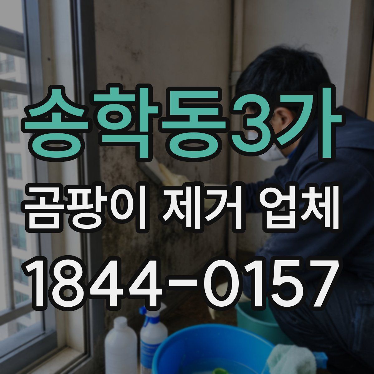 송학동3가 곰팡이 제거 업체