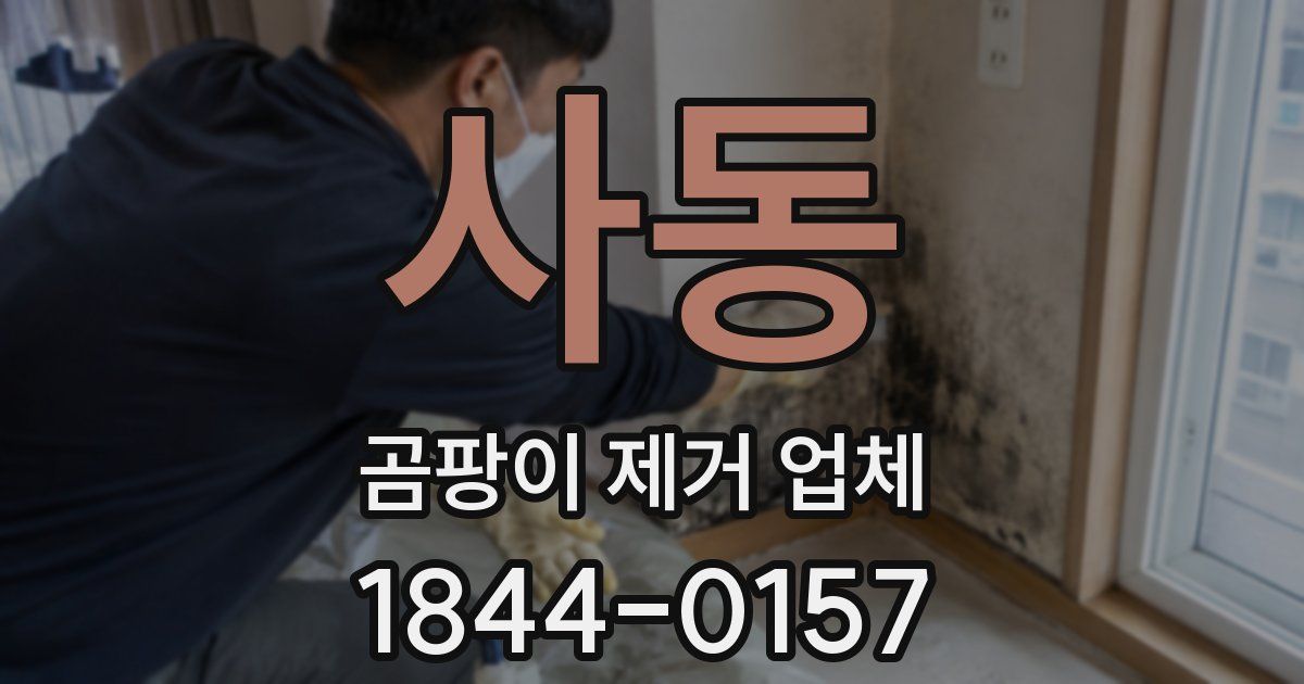 사동 곰팡이 제거 업체