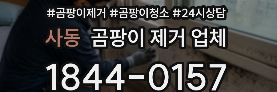 사동 곰팡이 제거 업체