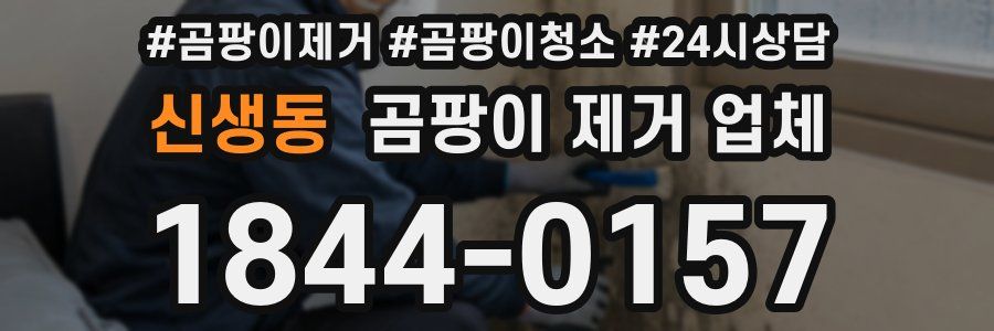 신생동 곰팡이 제거 업체