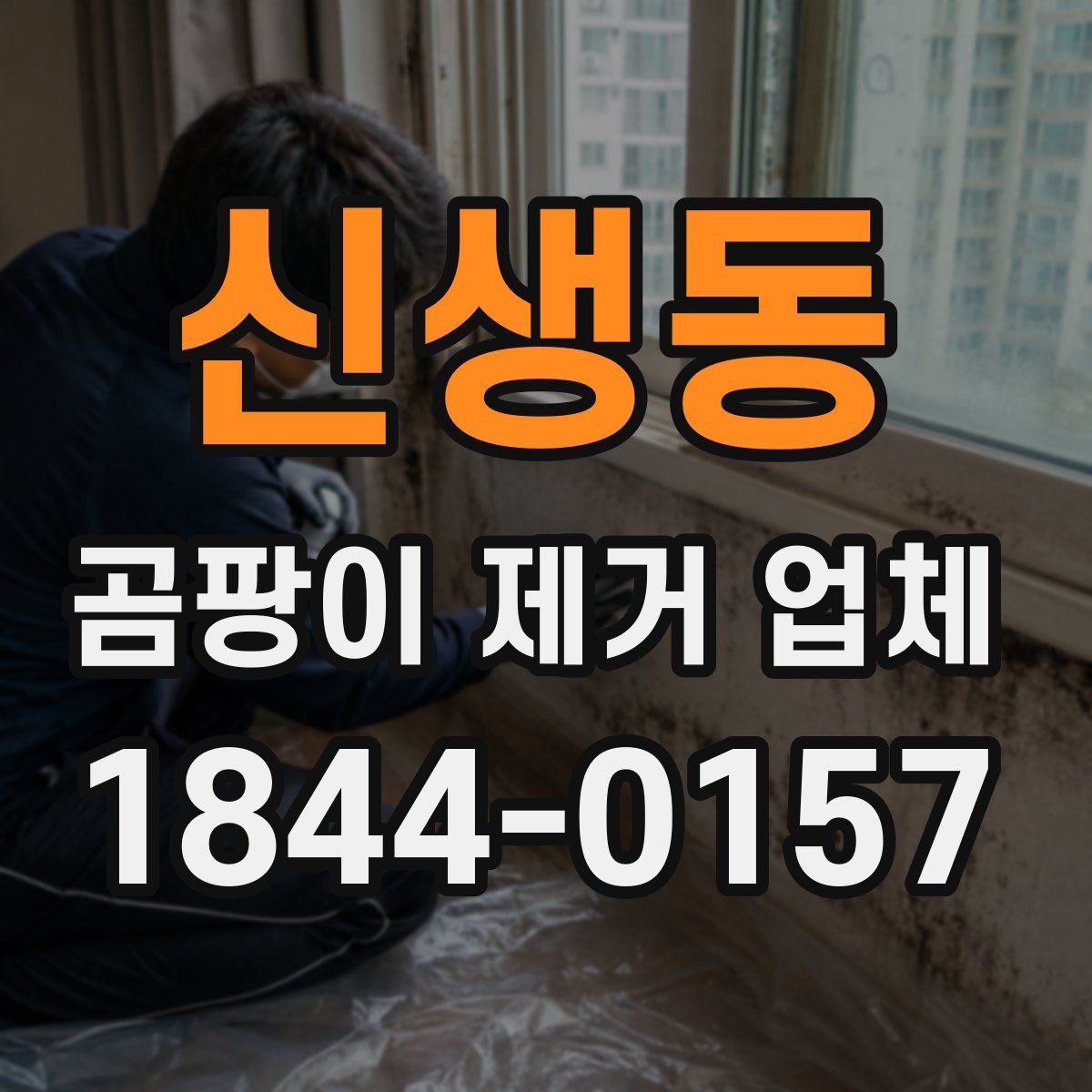신생동 곰팡이 제거 업체