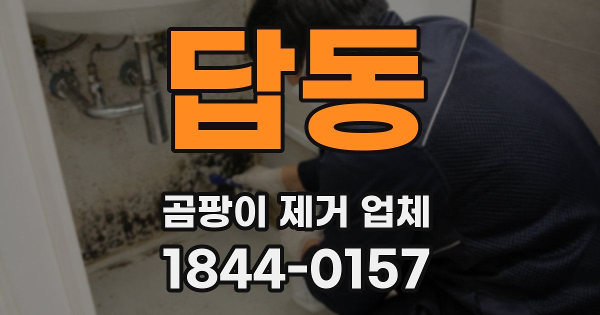답동 곰팡이 제거 업체