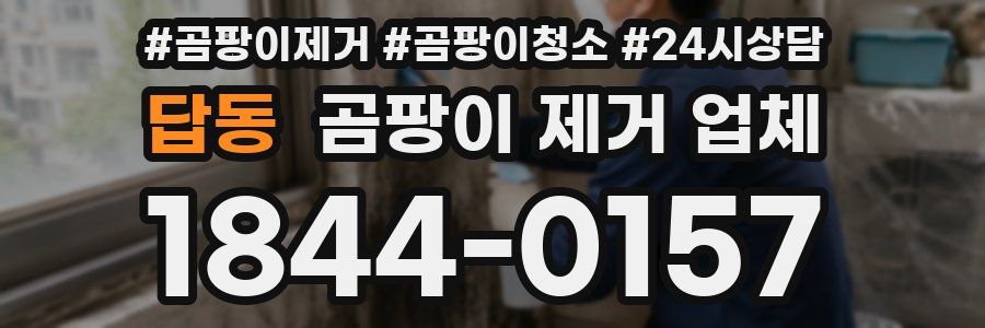 답동 곰팡이 제거 업체