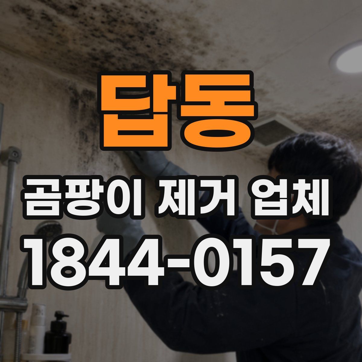 답동 곰팡이 제거 업체