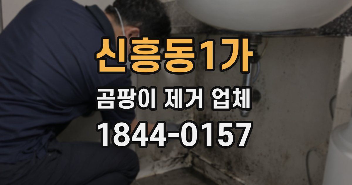 신흥동1가 곰팡이 제거 업체