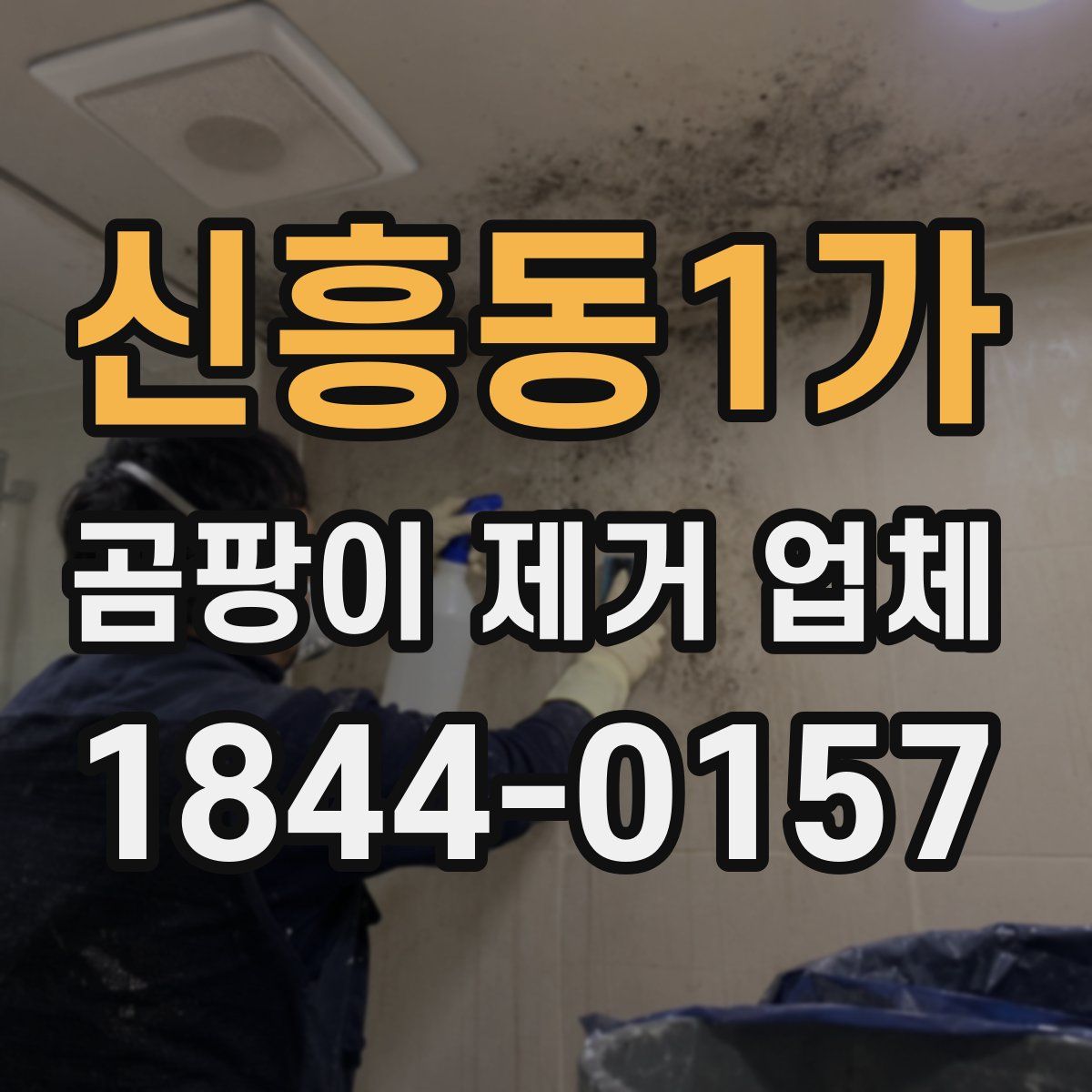 신흥동1가 곰팡이 제거 업체