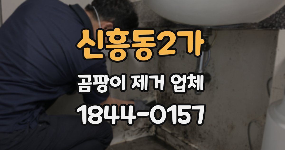 신흥동2가 곰팡이 제거 업체
