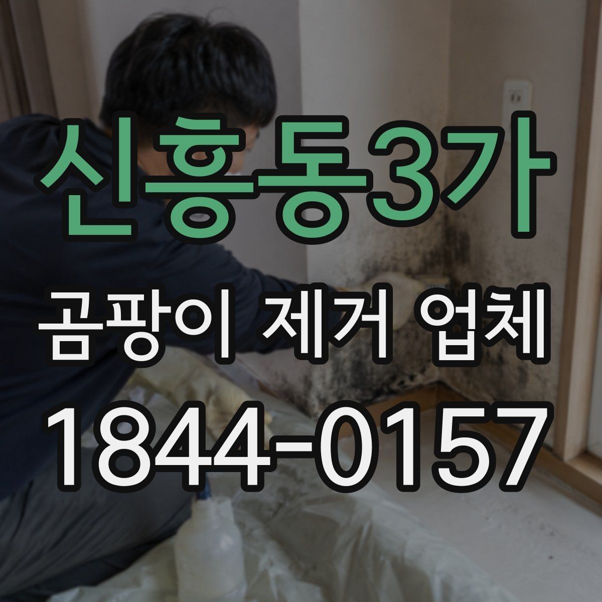 신흥동3가 곰팡이 제거 업체 반지하·저층 주택 점검이 필요한 이유