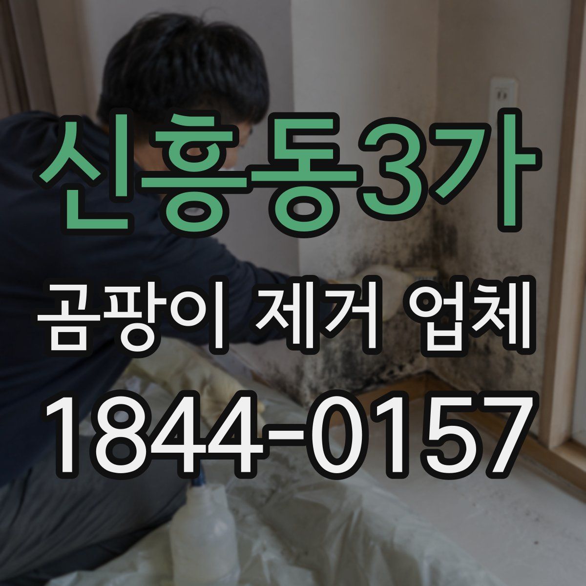 신흥동3가 곰팡이 제거 업체