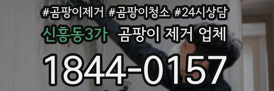 신흥동3가 곰팡이 제거 업체