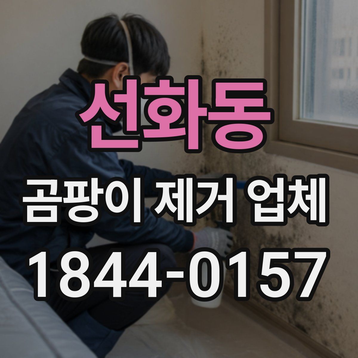 선화동 곰팡이 제거 업체