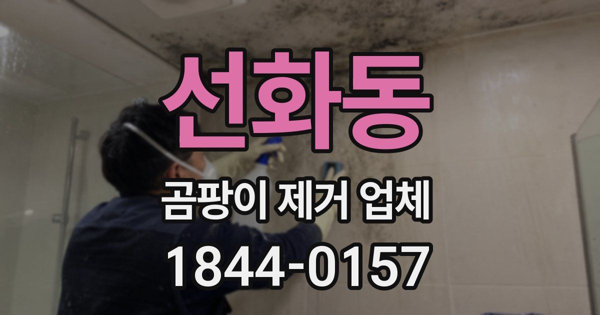 선화동 곰팡이 제거 업체