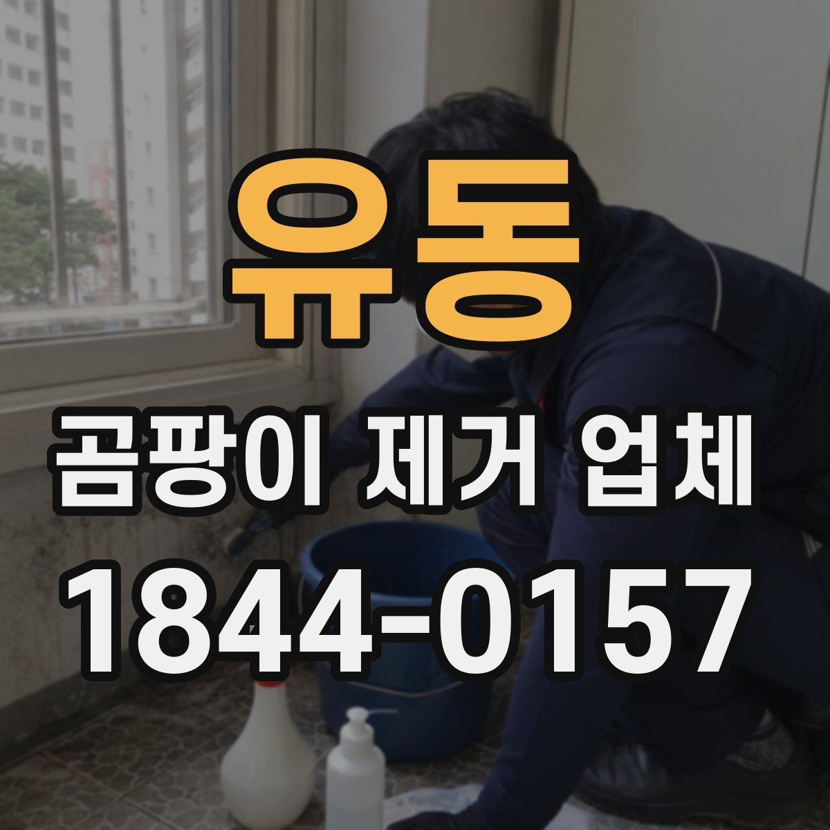 유동 곰팡이 제거 업체