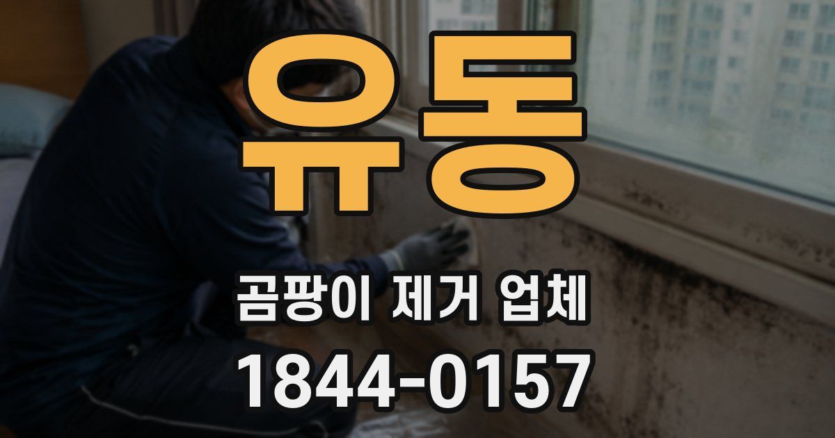 유동 곰팡이 제거 업체